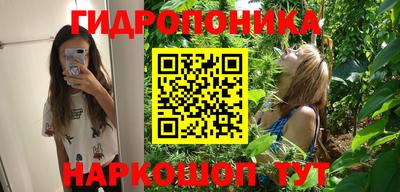 соль ск Гусев
